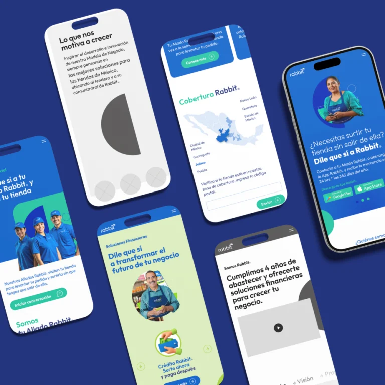 Disandat desarrollo UX Rabbit